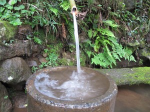 山の水