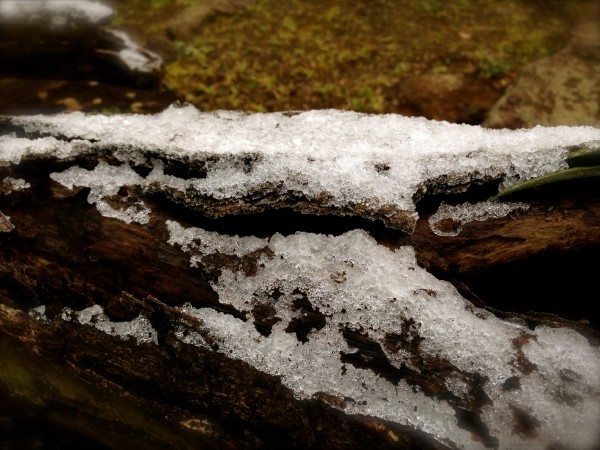 函南町に雪