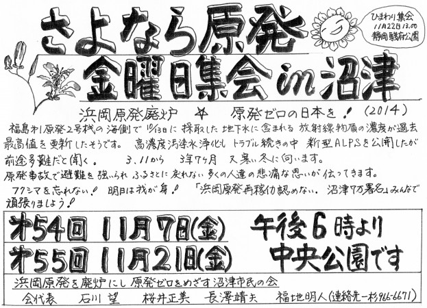 さよなら原発金曜日集会in沼津２０１４年１１月
